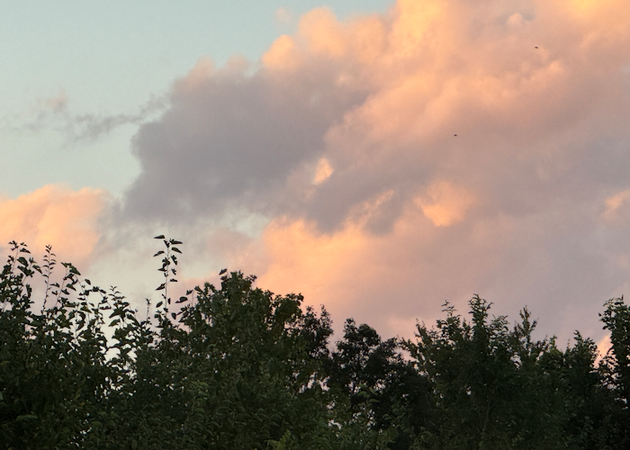 Beautiful sunlit colors reflected on clouds this morning