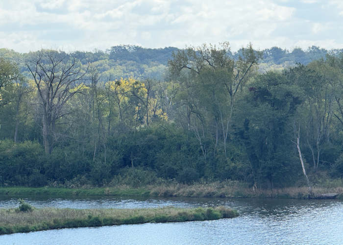 Illinois River